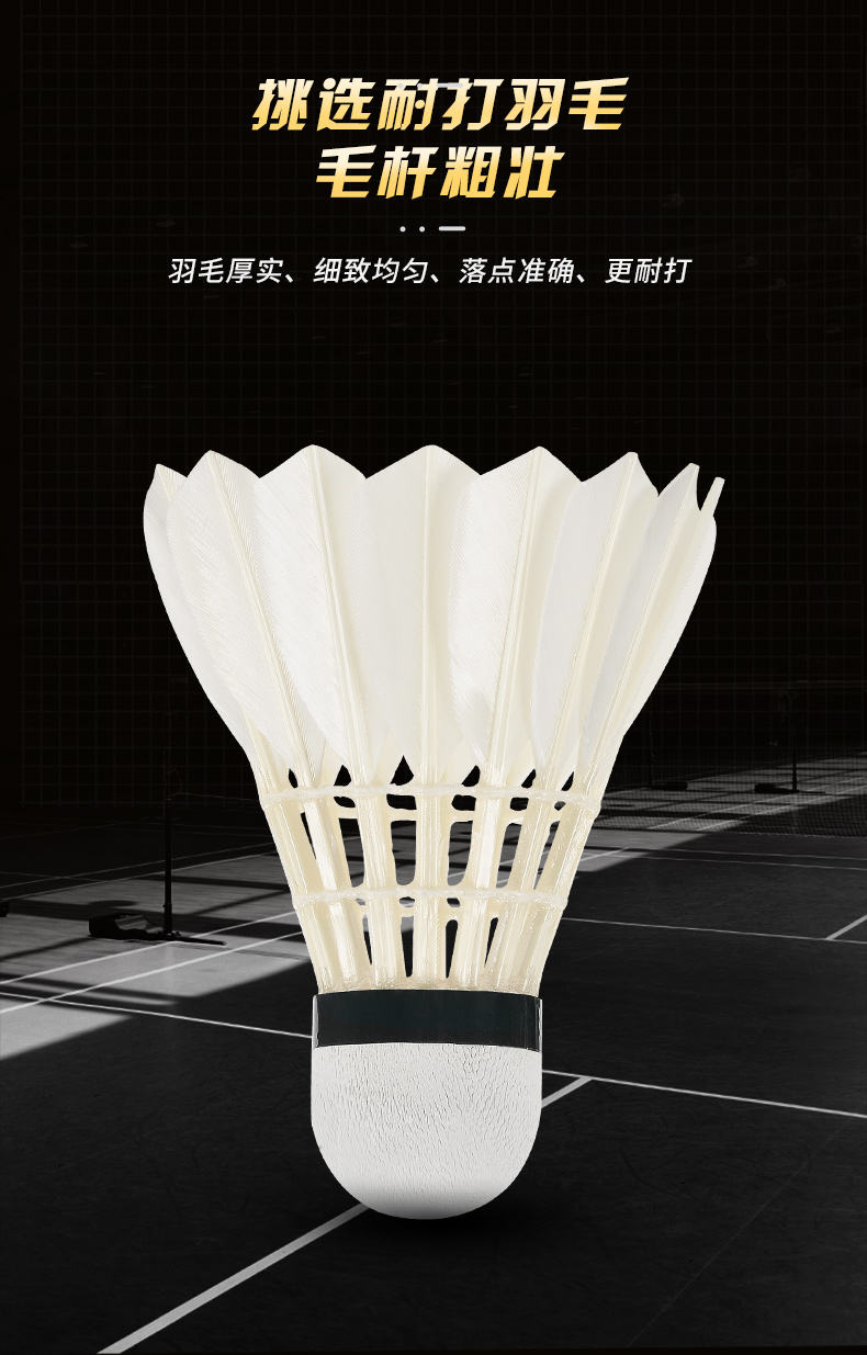 Neue 12 Stück profession elle  – Badminton Youtube Bewertung und Preis