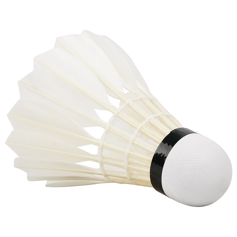 Neue 12 Stück profession elle  – Badminton Youtube Bewertung und Preis