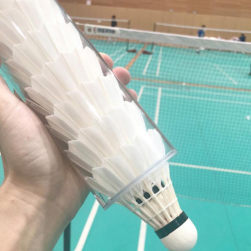 Federbälle Aufbewahrungsrohr B – Badminton Youtube Bewertung und Preis