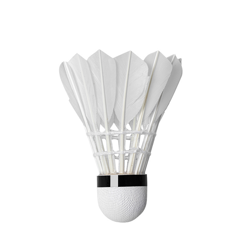 3/6/12 Stück 16 Feder Advanced – Badminton Youtube Bewertung und Preis